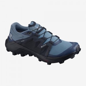 Dámské Trailové Běžecké Boty Salomon Wildcross Gtx Blankyt | 07945-MCXJ