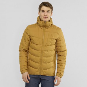 Pánské Mikina s Kapucí Salomon Essential Xwarm Insulated Žluté | 59106-DUOC