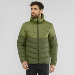 Pánské Mikina s Kapucí Salomon Essential Xwarm Insulated Zelene | 47186-GBAN