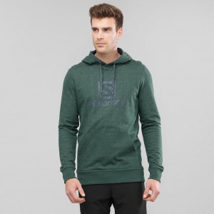 Pánské Mikina s Kapucí Salomon Shift Hoodie M Zelene | 53064-PCAM