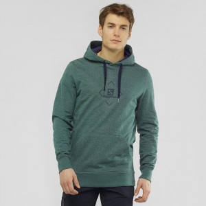 Pánské Mikina s Kapucí Salomon Shift Hoodie M Zelene | 38769-RKEM