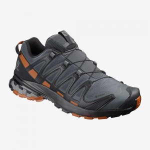 Pánské Trailové Běžecké Boty Salomon Xa Pro 3D V8 Gore-Tex Gray | 01437-LNIQ