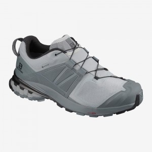 Pánské Trailové Běžecké Boty Salomon Xa Wild Gore-Tex Gray | 81524-JLDF