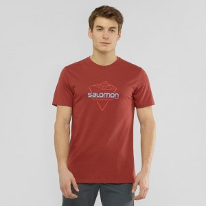 Pánské Tričko Salomon Blend Logo Tee M Červené | 98370-NCUF