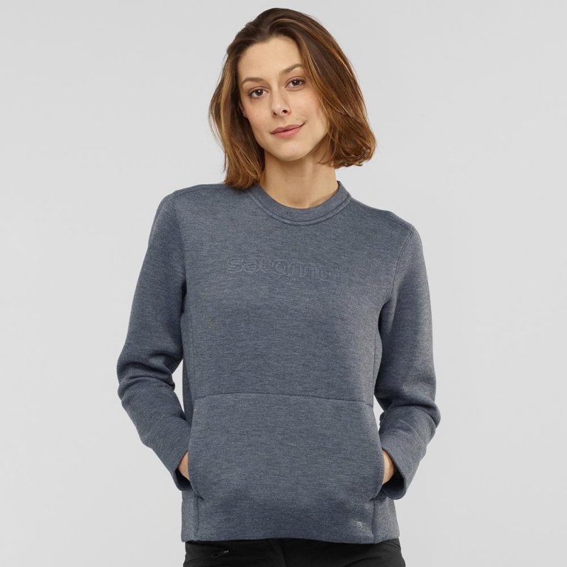 Dámské Pulovr Salomon Sight Crew Neck W Gray | 23957-YMPT