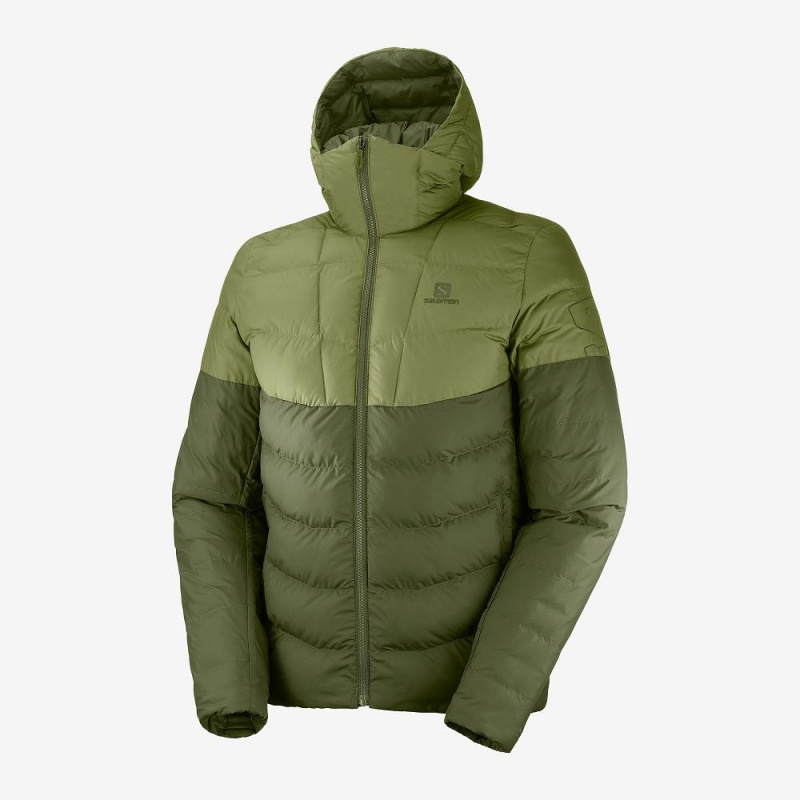 Pánské Mikina s Kapucí Salomon Essential Xwarm Insulated Zelene | 47186-GBAN