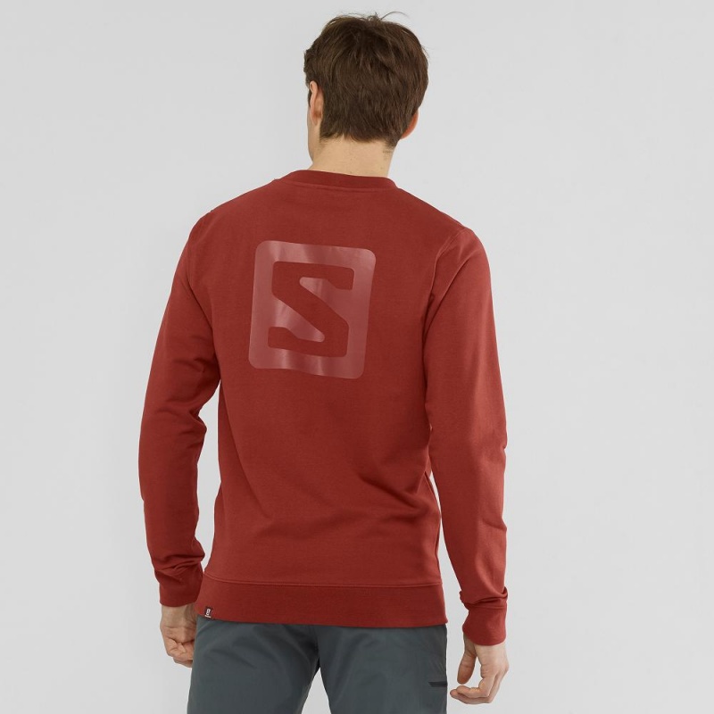 Pánské Pulovr Salomon Shift Crewneck M Červené | 94287-SCHO