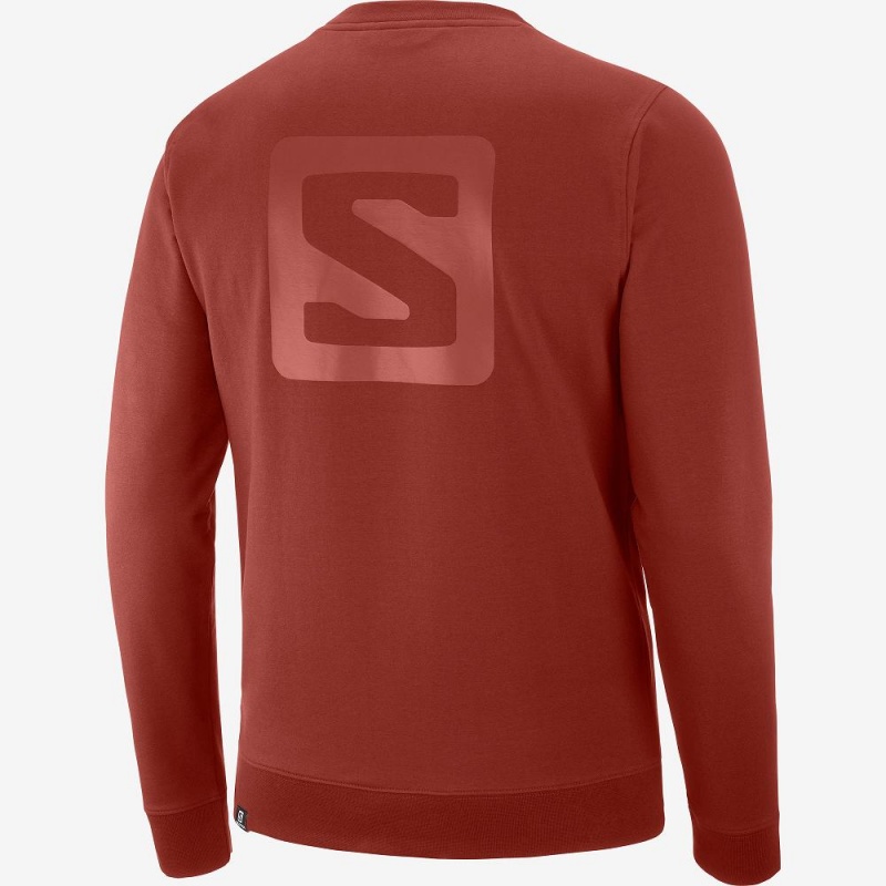 Pánské Pulovr Salomon Shift Crewneck M Červené | 94287-SCHO