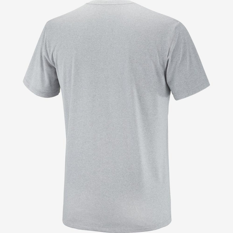 Pánské Topy Salomon Agile Grafická Tee M Gray | 47819-CIMW