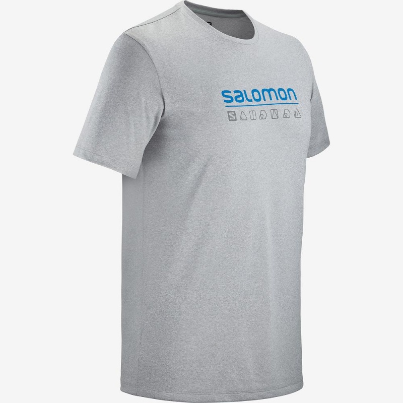 Pánské Topy Salomon Agile Grafická Tee M Gray | 47819-CIMW