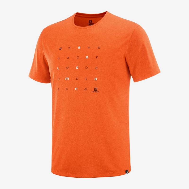 Pánské Topy Salomon Agile Grafická Tee M Oranžové | 14852-JSIN