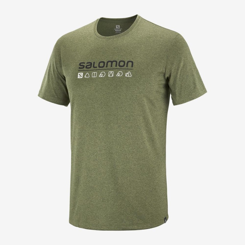 Pánské Topy Salomon Agile Grafická Tee M Zelene | 04726-COMP