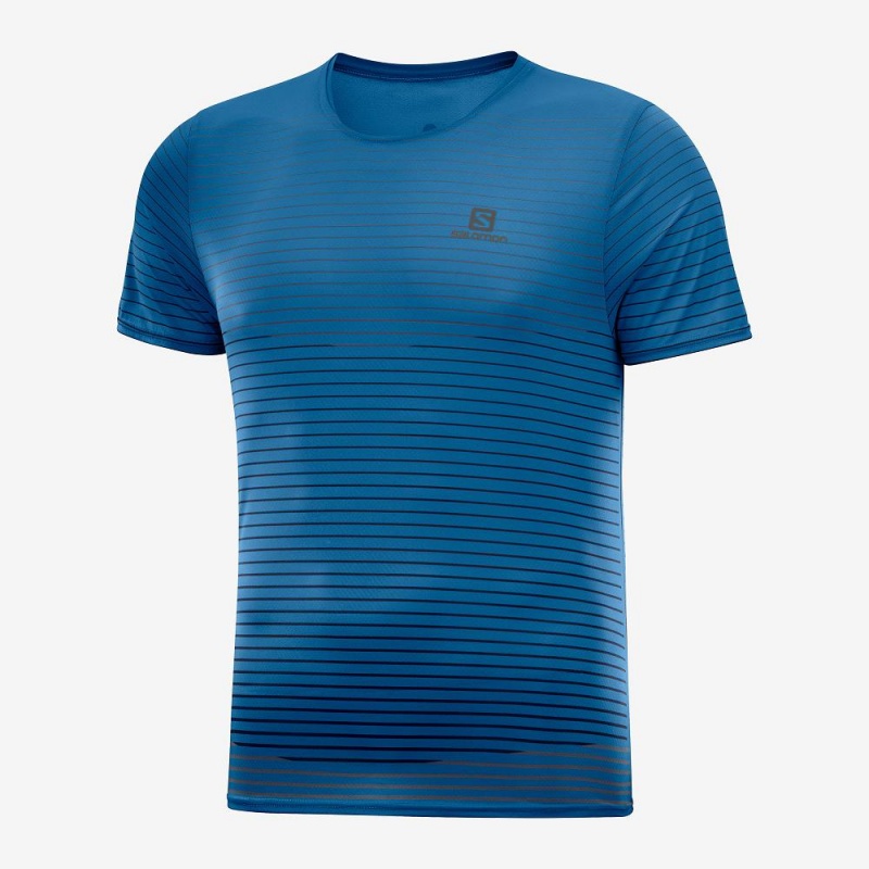 Pánské Topy Salomon Sense Tee M Blankyt | 12875-LXFG