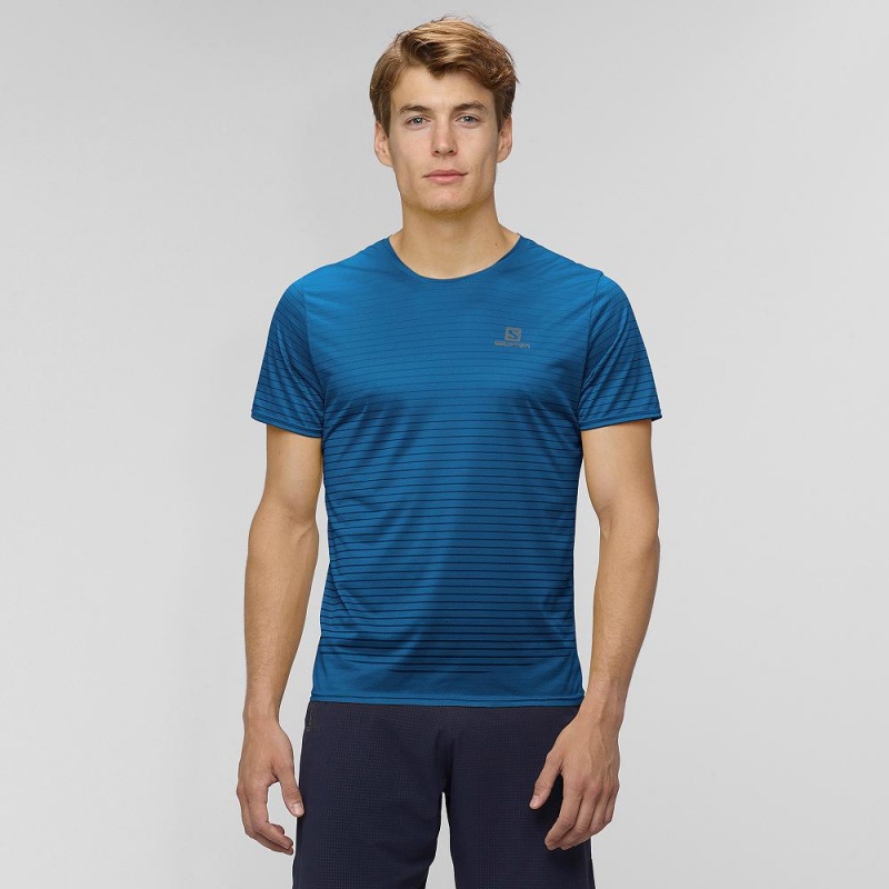 Pánské Topy Salomon Sense Tee M Blankyt | 12875-LXFG