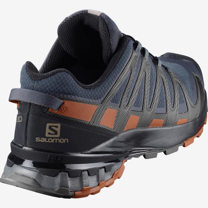 Pánské Trailové Běžecké Boty Salomon Xa Pro 3D V8 Gore-Tex Gray | 01437-LNIQ