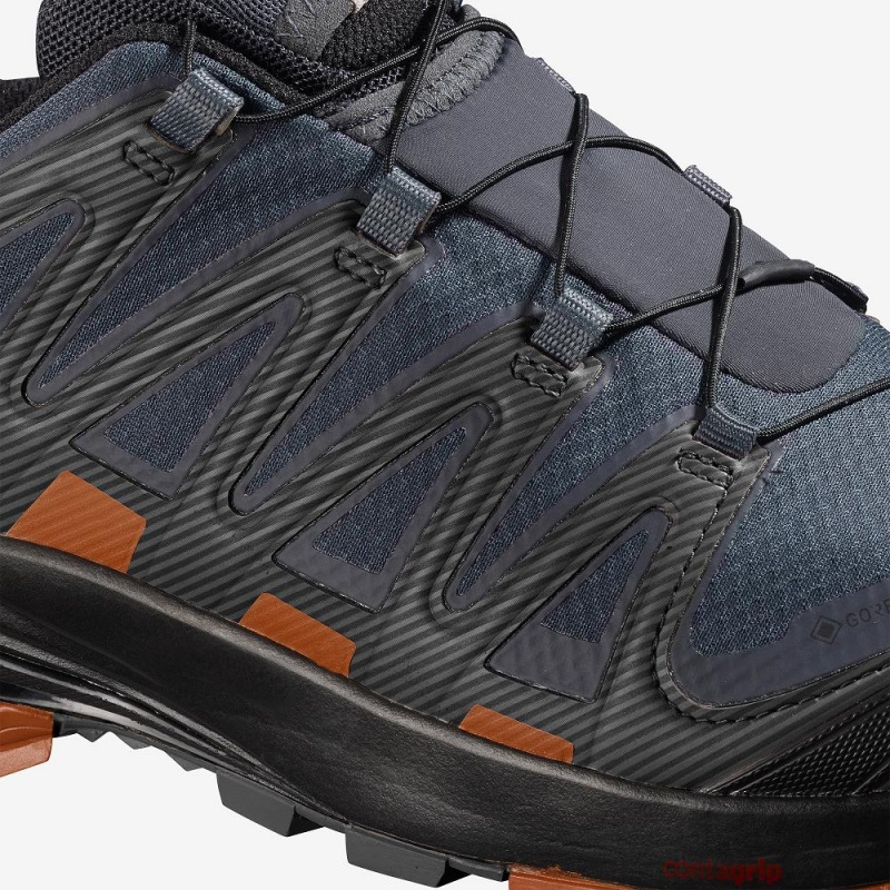 Pánské Trailové Běžecké Boty Salomon Xa Pro 3D V8 Gore-Tex Gray | 01437-LNIQ