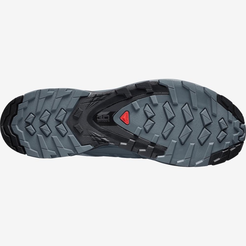 Pánské Trailové Běžecké Boty Salomon Xa Wild Gore-Tex Gray | 81524-JLDF