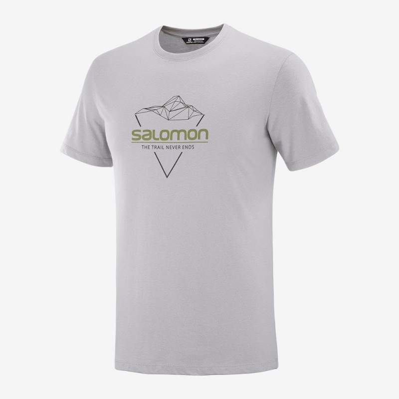 Pánské Tričko Salomon Blend Logo Tee M Gray | 45863-IYDF