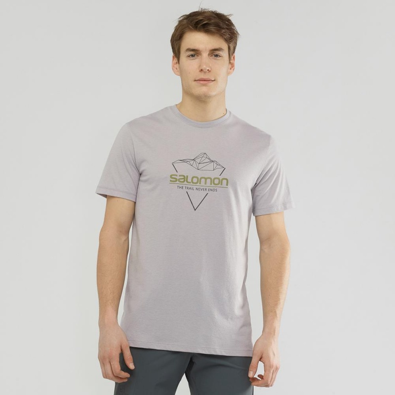 Pánské Tričko Salomon Blend Logo Tee M Gray | 45863-IYDF