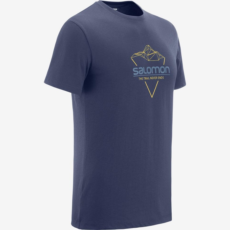 Pánské Tričko Salomon Blend Logo Tee M Tmavě Blankyt | 76312-PDLC