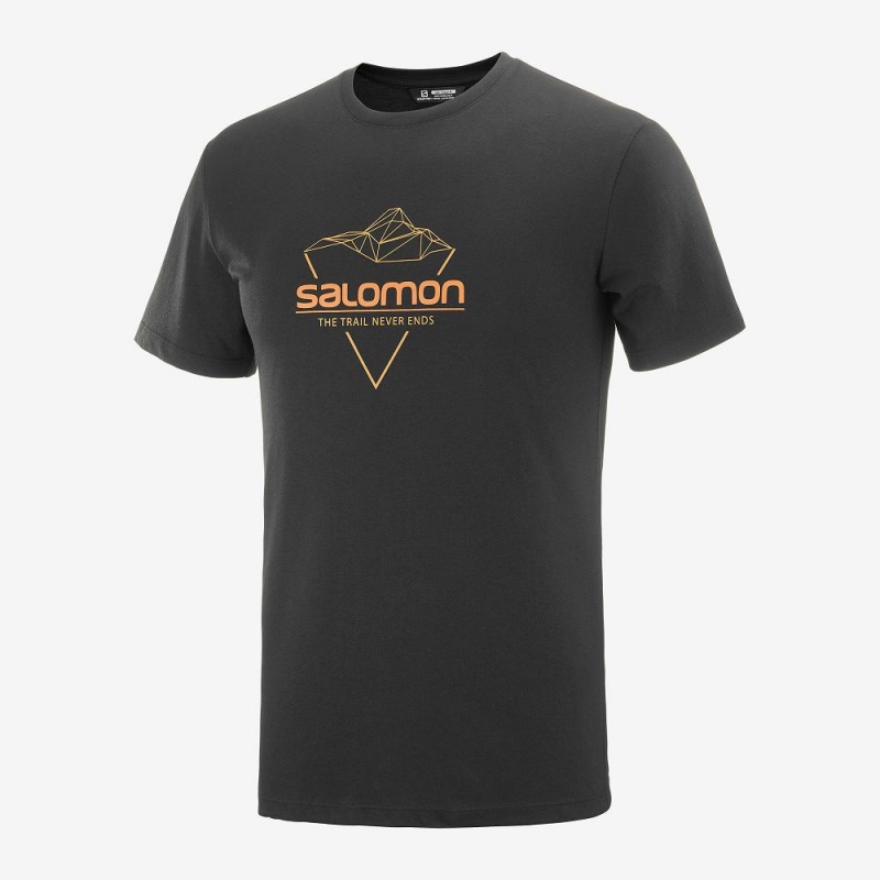 Pánské Tričko Salomon Blend Logo Tee M Černé | 84126-RKIQ