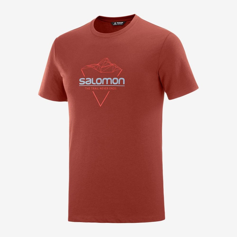 Pánské Tričko Salomon Blend Logo Tee M Červené | 98370-NCUF